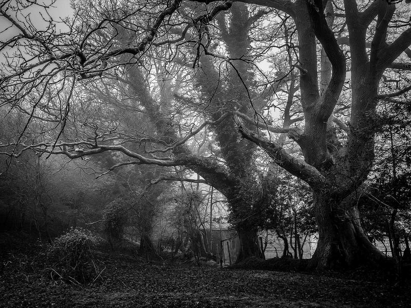 MorQueniLast Santo Domingo